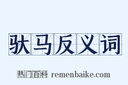 驮马反义词是什么意思的图片